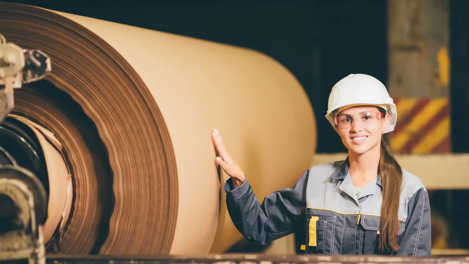 Ingeniería para la Industria Papelera